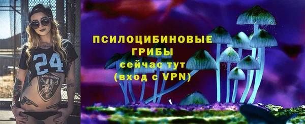СК Арсеньев
