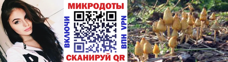 Галлюциногенные грибы мицелий  Обоянь 